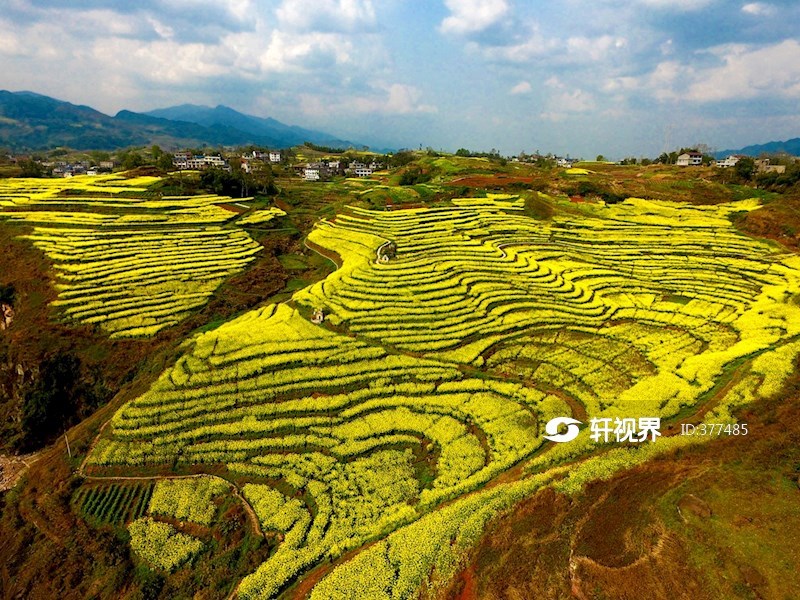 邻水坛同镇青龙村春景