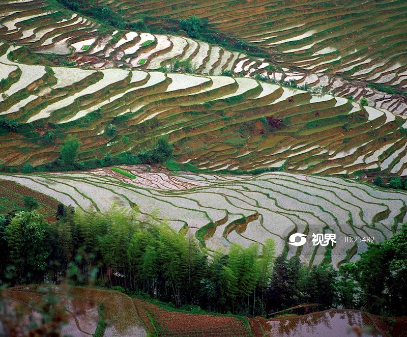 宜宾-高坎梯田_山哥_id:568596 图片