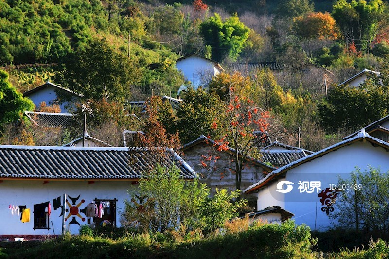凉山州西昌市安哈镇3
