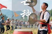 非遗日历｜二十四节气：芒种