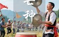 二十四节气：芒种