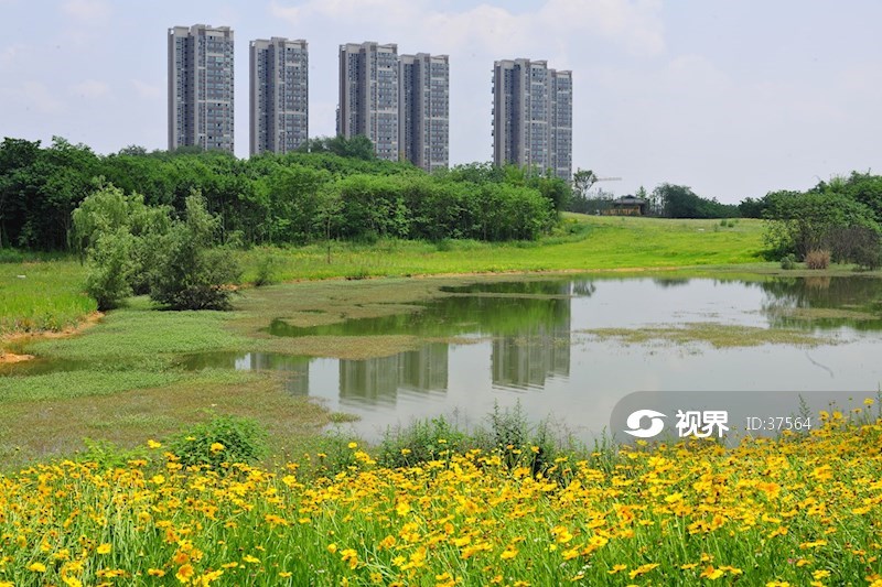 成都青龍湖溼地公園