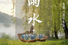 非遗日历｜二十四节气：雨水