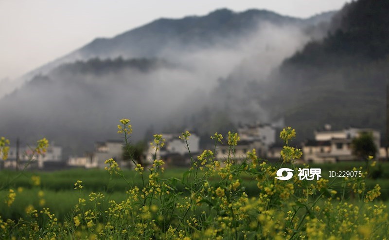 江西婺源江岭头乡龙尾村风光