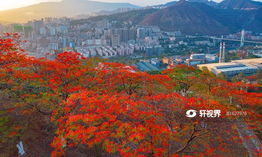 攀枝花市 | 投稿
