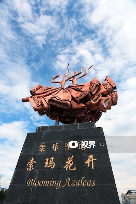 西昌市街景索玛花开雕塑