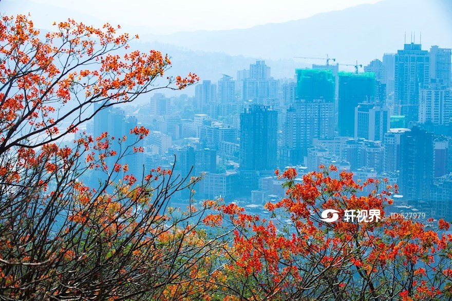 攀枝花市 | 投稿