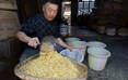 泡好的豆子还要用清水淘洗。