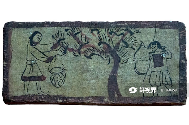 采桑护桑 图片 | 轩视界