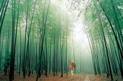 7月13日，2015四川国际文化旅游节新闻发布会在成都召开。据悉，本届文旅节将于8月22日至8月28日在万里长江第一城——四川宜宾隆重举行。文旅节是我省在全球旅游行业中最具影响力的节会之一，为四川与世界加强文化交流，探讨旅游资源保护及发展未来，促进文化与旅游的创意结合，搭建起了一个重要的平台和桥梁。