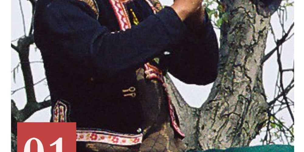 非遗日历｜唢呐艺术（咪苏唢呐）