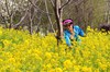 一路繁花一路景  四川春光里的鲜花之路