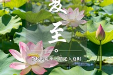 非遗日历｜二十四节气：夏至