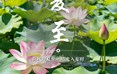 二十四节气：夏至