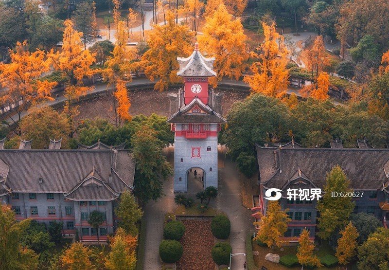 四川大学华西校区秋季航拍图 图片 | 轩视界