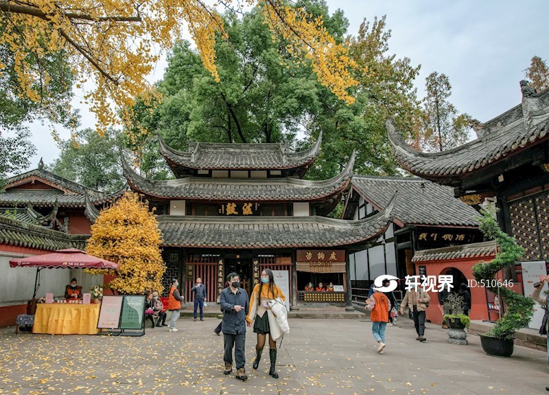 成都文殊院：金秋银杏醉游人 图片 轩视界