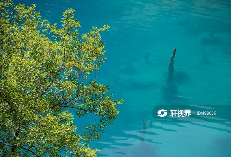 四川阿坝：绿意盎然的九寨沟 图片 | 轩视界