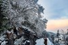 华蓥雪霁 美不胜收