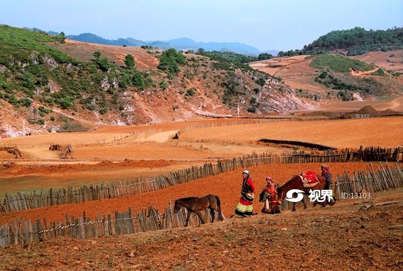 格萨拉红土地 图片