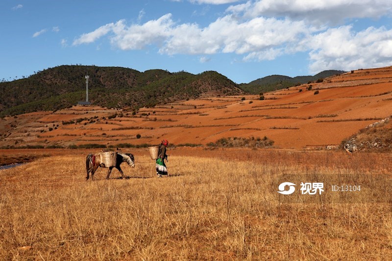 格萨拉红土地 图片