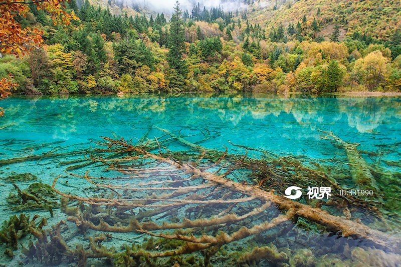 九寨沟火花海秋景 图片 | 轩视界