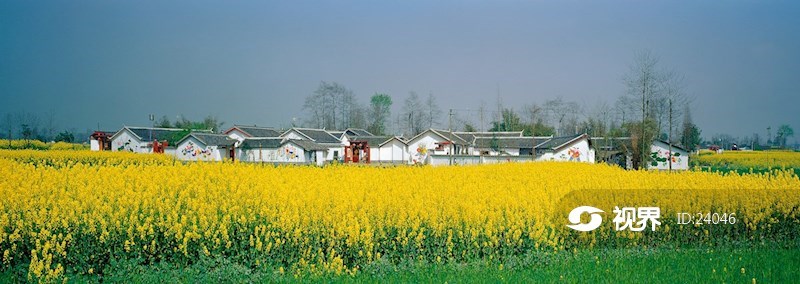 512地震灾后重建的绵竹市年画村全景 图片 | 轩视界