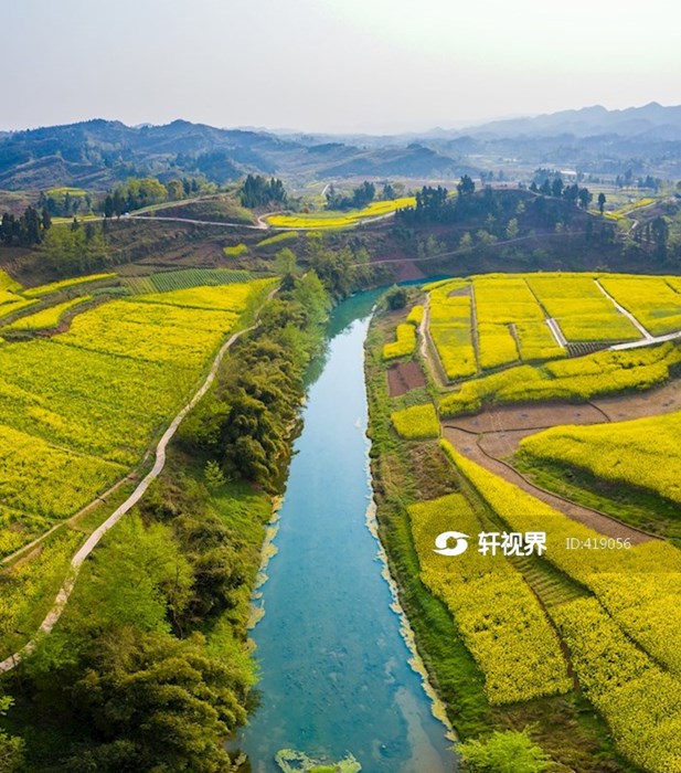 邻水县王家镇万亩油菜花田