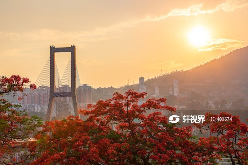 攀枝花市区的凤凰花 图片 | 轩视界