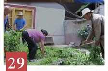 非遗日历｜范氏中藏药疗法
