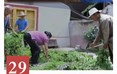 范氏中藏药疗法