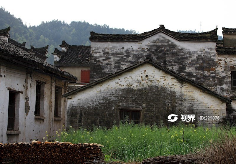 江西婺源江岭头乡龙尾村风光