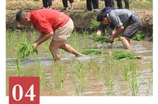 非遗日历｜合江开秧门习俗