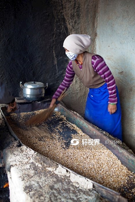 炒制青稞 图片 | 轩视界