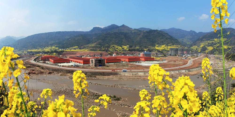 雅安：产业振兴成灾后重建强大“引擎”