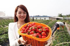 近年来，龙马潭区加大投入力度，重点打造的特兴走马村、长安慈竹村和双加新渔村已经初具规模。
