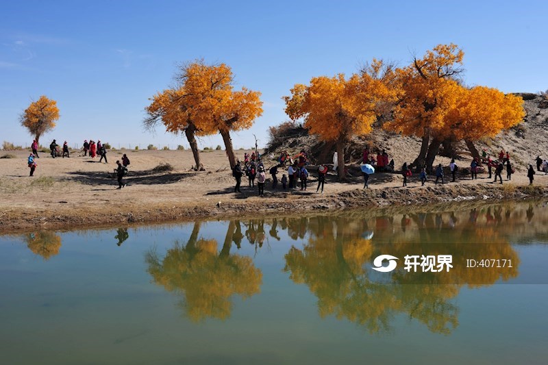 弱水胡杨林 图片 | 轩视界