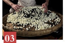 非遗日历｜犍为茉莉花茶制作技艺