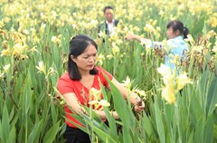 她以大地为画板，以双手为巨椽，用汗水调颜料，辛勤耕耘四川省华蓥山下禄市镇小驴山、凉水井等村原本贫脊的土地，让昔日的穷山村变身为“蜀地花海”。她, 就是华蓥市年轻的女政协委员匡小莉。