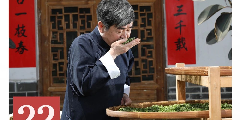 非遗日历｜四川绿茶制作技艺（叙府龙芽传统制作技艺）