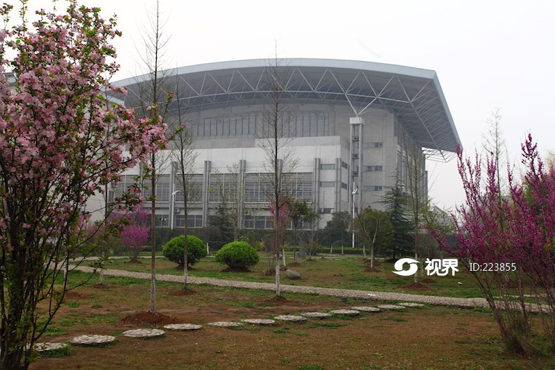 江苏大学体育馆图片