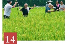 非遗日历｜薅秧歌（木门薅秧歌）