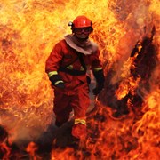 跃火墙、过火幕、穿火林 森林消防员心理行为训练惊心动魄