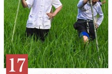 非遗日历｜薅秧歌（玄滩薅秧歌）