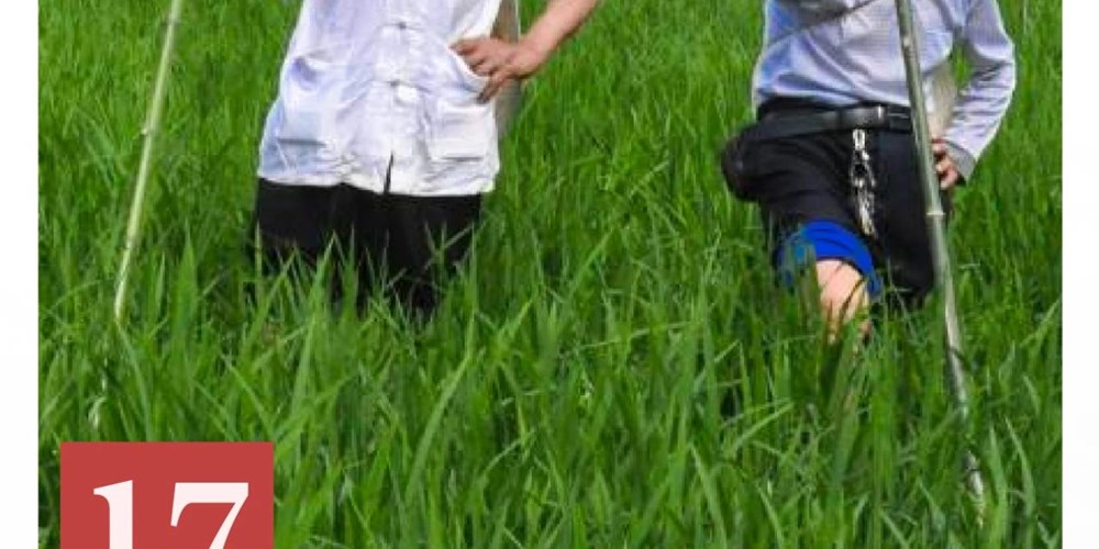 非遗日历｜薅秧歌（玄滩薅秧歌）