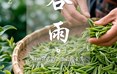 二十四节气：谷雨