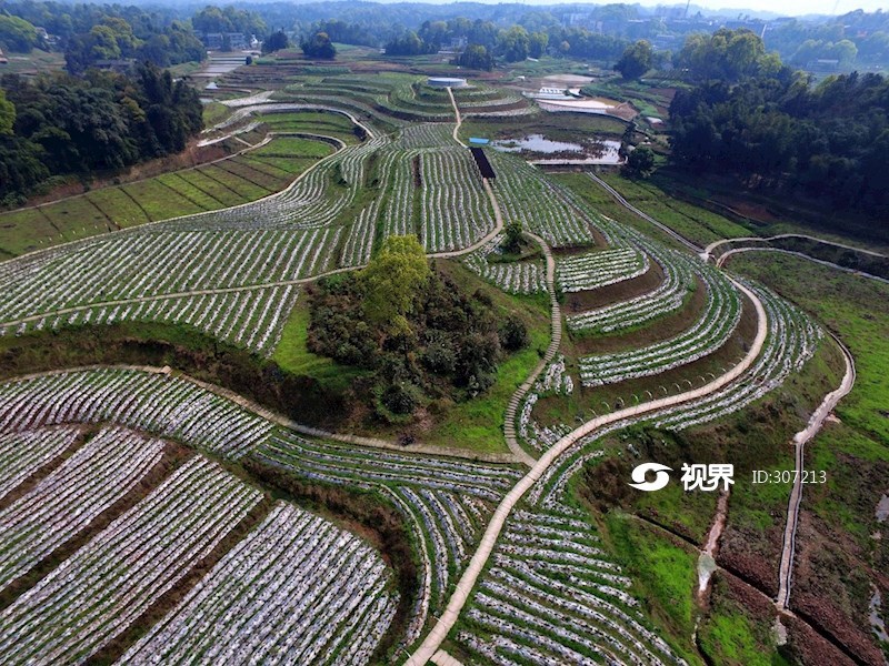 纳溪区龙车镇塘口村的幸福美丽新村村景