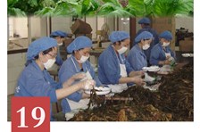 非遗日历｜酱菜制作技艺（“丰源”资中冬尖生产工艺）