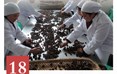 何首乌饮片传统加工技艺