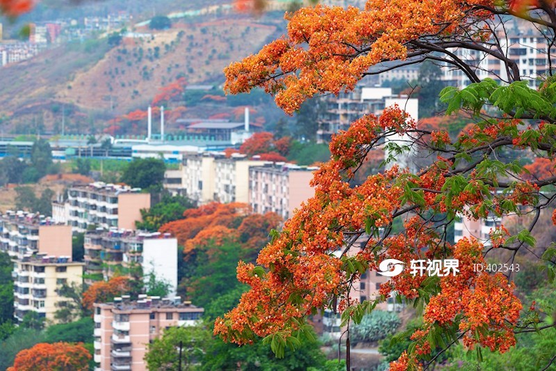 攀枝花城市美景 图片 | 轩视界