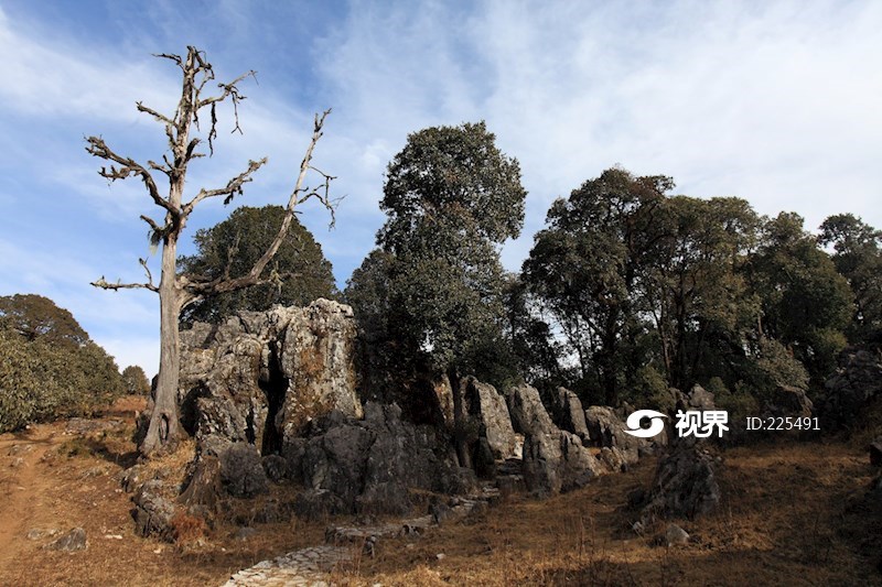 四川攀枝花格萨拉绿石林 图片